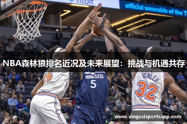 NBA森林狼排名近况及未来展望：挑战与机遇共存